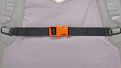 BR Chest Strap