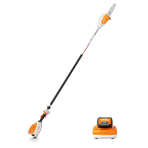 HTA 66 (Unit) kitted with 10" bar and chain