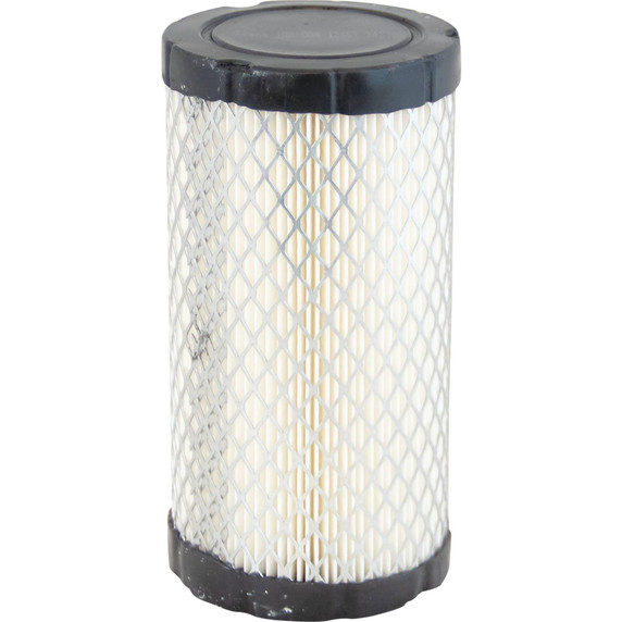 Air Filter Briggs & Stratton 793569