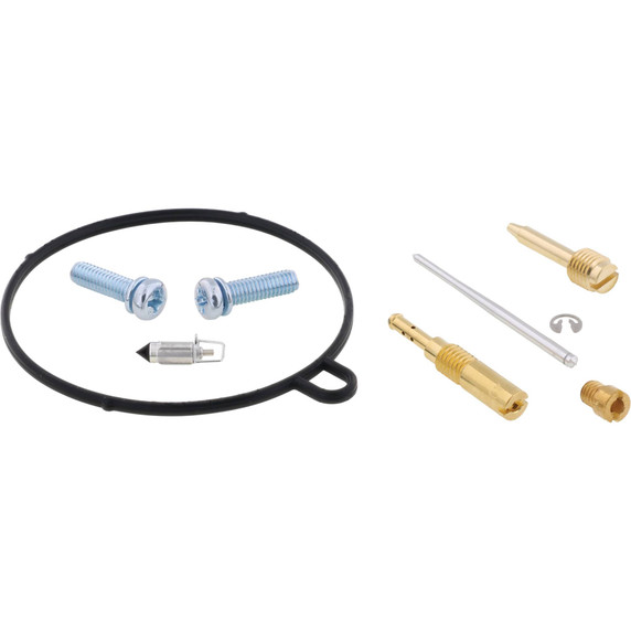 Carburetor Rebuild Kit