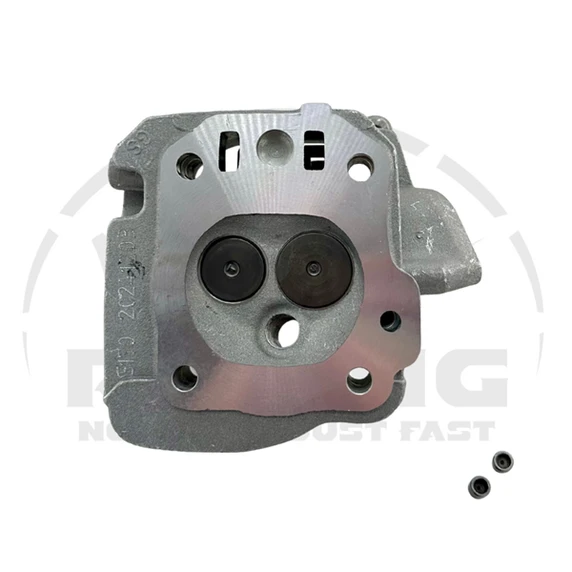 Shredder Head, 16cc, Stock Stainless Valves 26# Spring Pack, GX200, 212/224 Predator, 6.5 OHV Clone