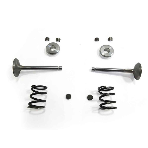 Stainless Steel Valve Kit Predator 212 Hemi  Predator 224 Max Performance