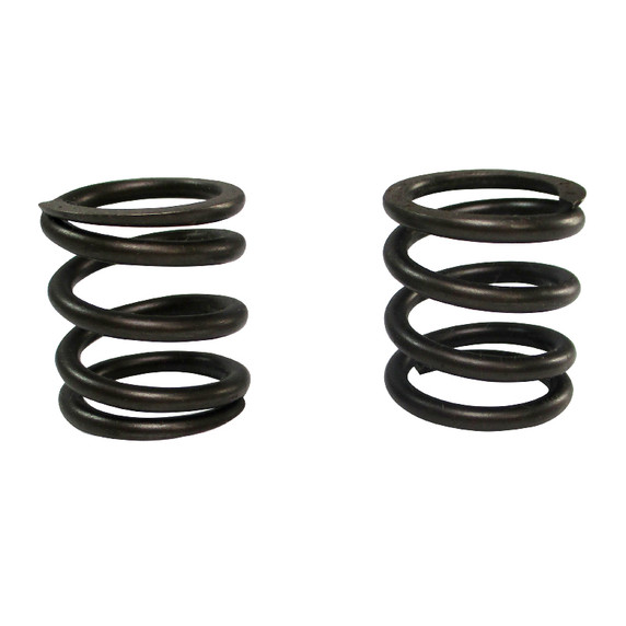 (2) Pack of Stock Animal Valve Springs