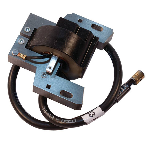 Solid State Module / Fits Briggs & Stratton 799650