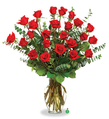 Two Dozen Red Roses