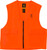 Brng Vst Safety