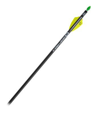 Ten Pt Evo-X Bolt Alpha