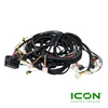 Wiring Harness (LT-4801) for ICON i60/i80 Golf Carts (Must Have ICON Controllers), ELE-720-IC, 3.03.004.900234, 3.202.04.000023