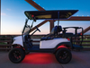 Extreme Strips - 2/4 Seat Cart + LED Controller, SEI-LEDZ4UGLW24