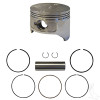 Piston and Ring Set, +.25mm for E-Z-Go 4-Cycle Gas 1992-Up 350cc Golf Cart, ENG-219, 72541G01 , 5651