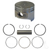 Piston + Ring Set .25mm Oversize EZGO Golf Cart 4Cycle Gas 1993-2008 295cc Only, ENG-134, 26660G01 , 4571