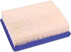 Club Car DS Air Filter (Years 1992-Up), 11024