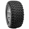 Tire, 20X10-10 4Pr, Duro Desert, 20-050