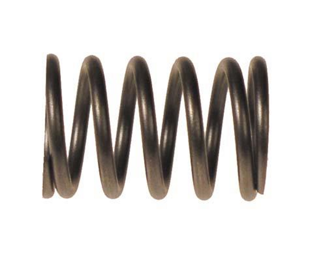 Valve Spring-E-Z-GO Rxv, 7618, 603544