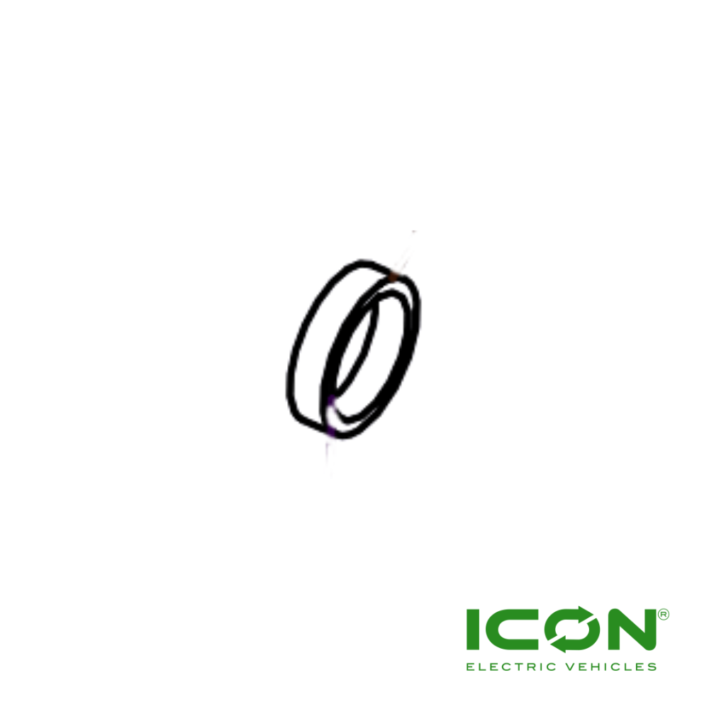 Input Shaft Oil Seal For 4kw Or 5kw Motors C-SERIES, ICON HD, And ICON Golf Carts, AXEL-752-IC, 3.206.18.000048