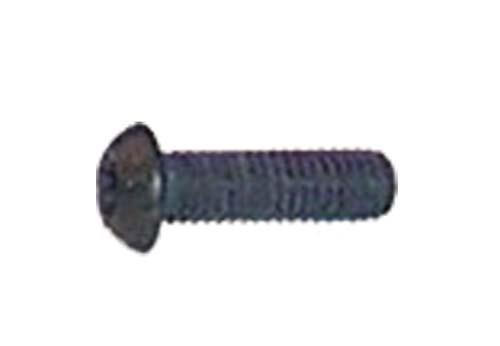 E-Z-GO RXV Rear Access Panel Mounting Bolt (2008+), 7929