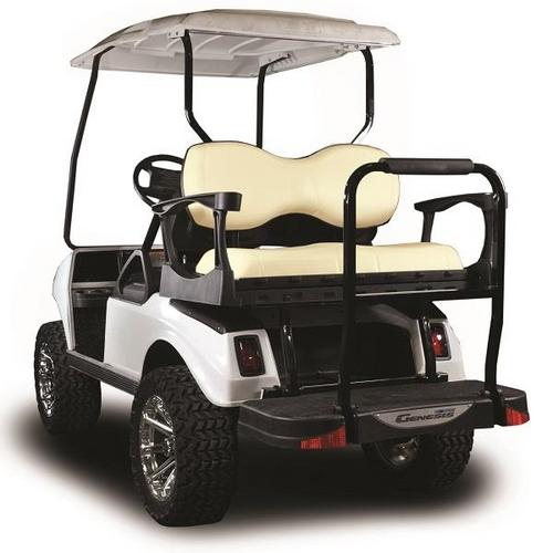 Club Car DS MadJax Genesis 250 with Deluxe Buff Steel Rear Flip Seat, 01-048-200D