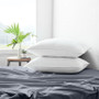 Plush Down Alternative Pillow 2 Pack | Gel Fiber Fill ienjoy home