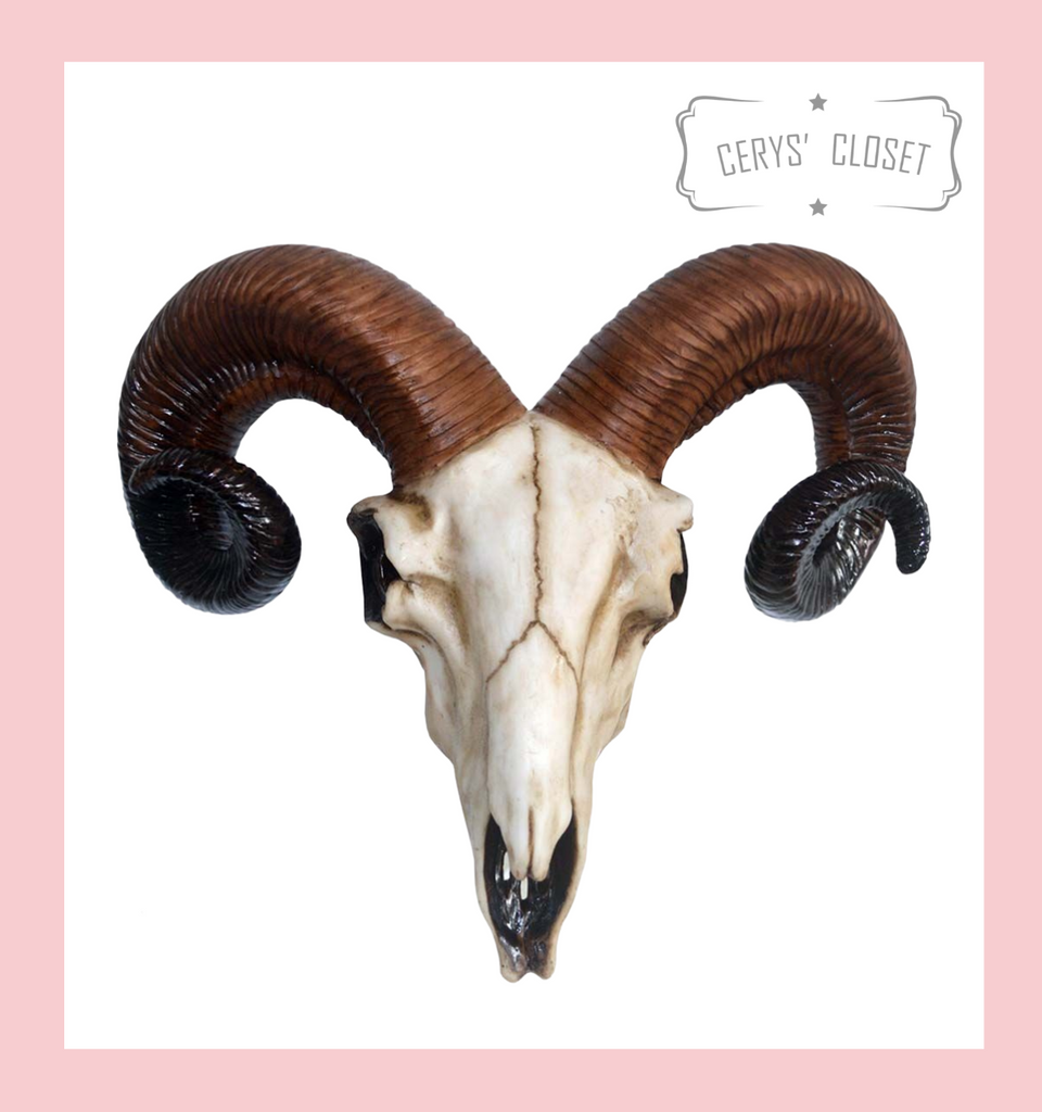 Wall Mounted Resin Rams Skull with Curly Horns Approx 33cm