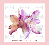 Double Lily Hair Flowers with Crocodile Clip - Light Purple
