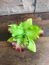Double Lily Hair Flowers with Crocodile Clip  - Green