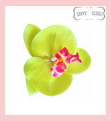 SINGLE FLOWER HAIR ORCHID WITH CROCODILE CLIP - Yellow