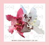 DOUBLE LILY HAIR FLOWERS WITH CROCODILE CLIP - Pink and White