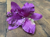 Purple single lily vintage hair flower clip