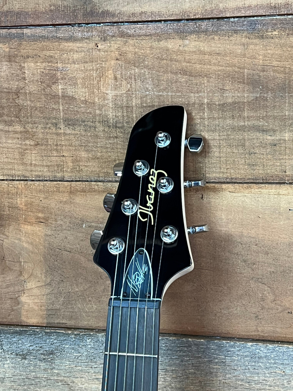 Ibanez Noodles NDM5 Noodles Signature Guitar 2Color Sunburst Mom's