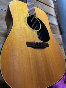 1968-1972 Gibson Blue Ridge Acoustic w/case