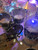 TAMA Starclassic Walnut/Birch 4-PC Molten Platinum Burst