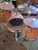 PDP Concept Maple Natural Lacquer Rock Shell Pack