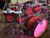 Mapex Armory Studioease 6-piece Shell Pack - Redwood Burst