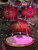 Mapex Armory Studioease 6-piece Shell Pack - Redwood Burst