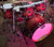 Mapex Armory Studioease 6-piece Shell Pack - Redwood Burst