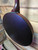 Pre-owned Deering Goodtime Tenor Banjo 17 Fret w/pickup & bag