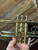 Pre-owned Andreas Eastman ETR400R  B-Flat Trumpet w/case