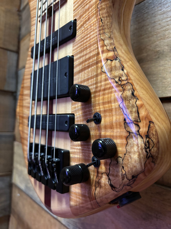 Pre-owned Warrior DM5 Dran Michael 5 String Bass w/case
