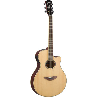 Amazon | ヤマハ APX600 ナチュラル YAMAHA エレアコ 6点