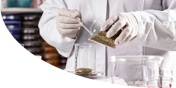 servicio formulación magistral farmacia pacheco