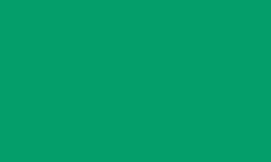 Supracolor Soft Aquarelle Pencil Empire Green   |  3888.290