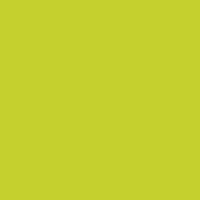 Gouache Studio Cake - Yellow Green | 1000.23