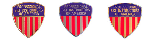 PSIA Certification Pin