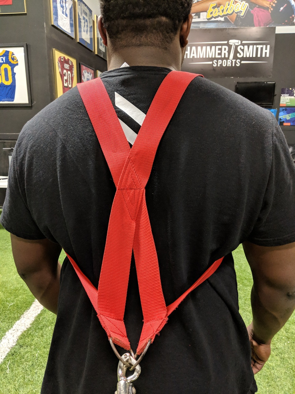 Shoulder harness - Hammer Smith Sports