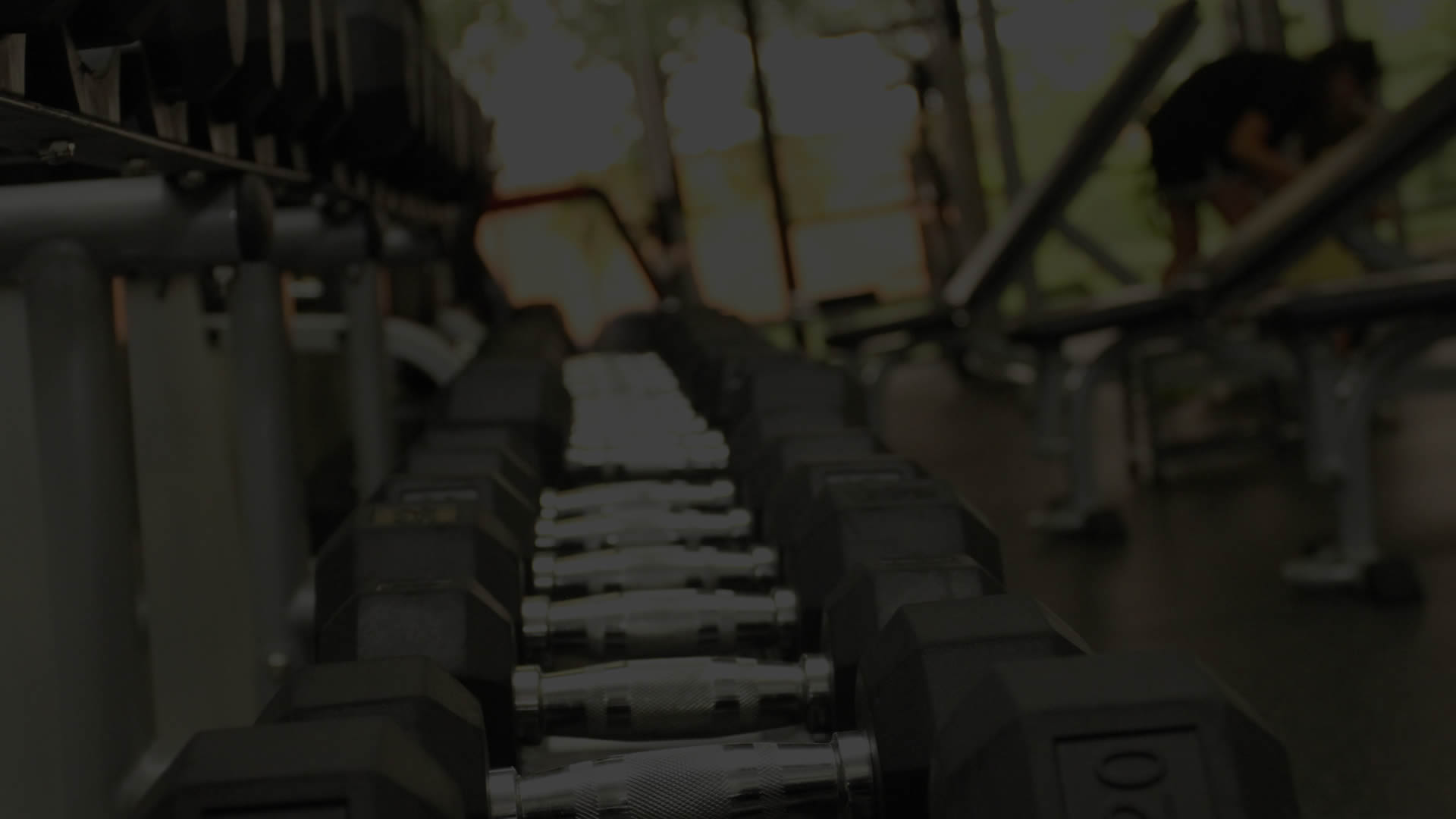 Sports Performance Training In Atlanta Hammer Smith Sports