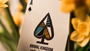 Animal Kingdom Playing Cards by theory11