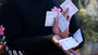 Sakura V2 Playing Cards