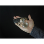 The Vault Clear (DVD and Gimmick) created by David Penn - DVD