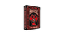 Bicycle Spellbound by US Playing Card