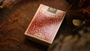 Goshawk Vintage Playing Cards